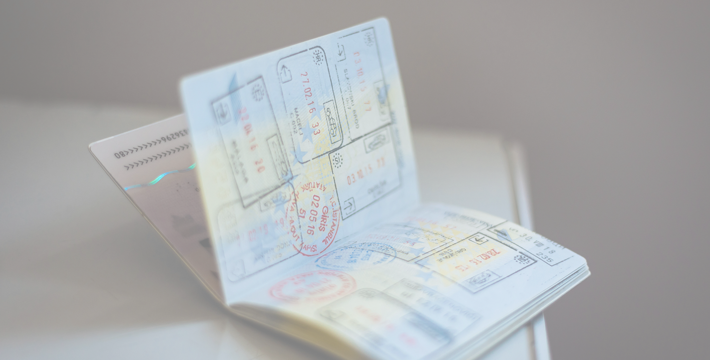 Visa Background